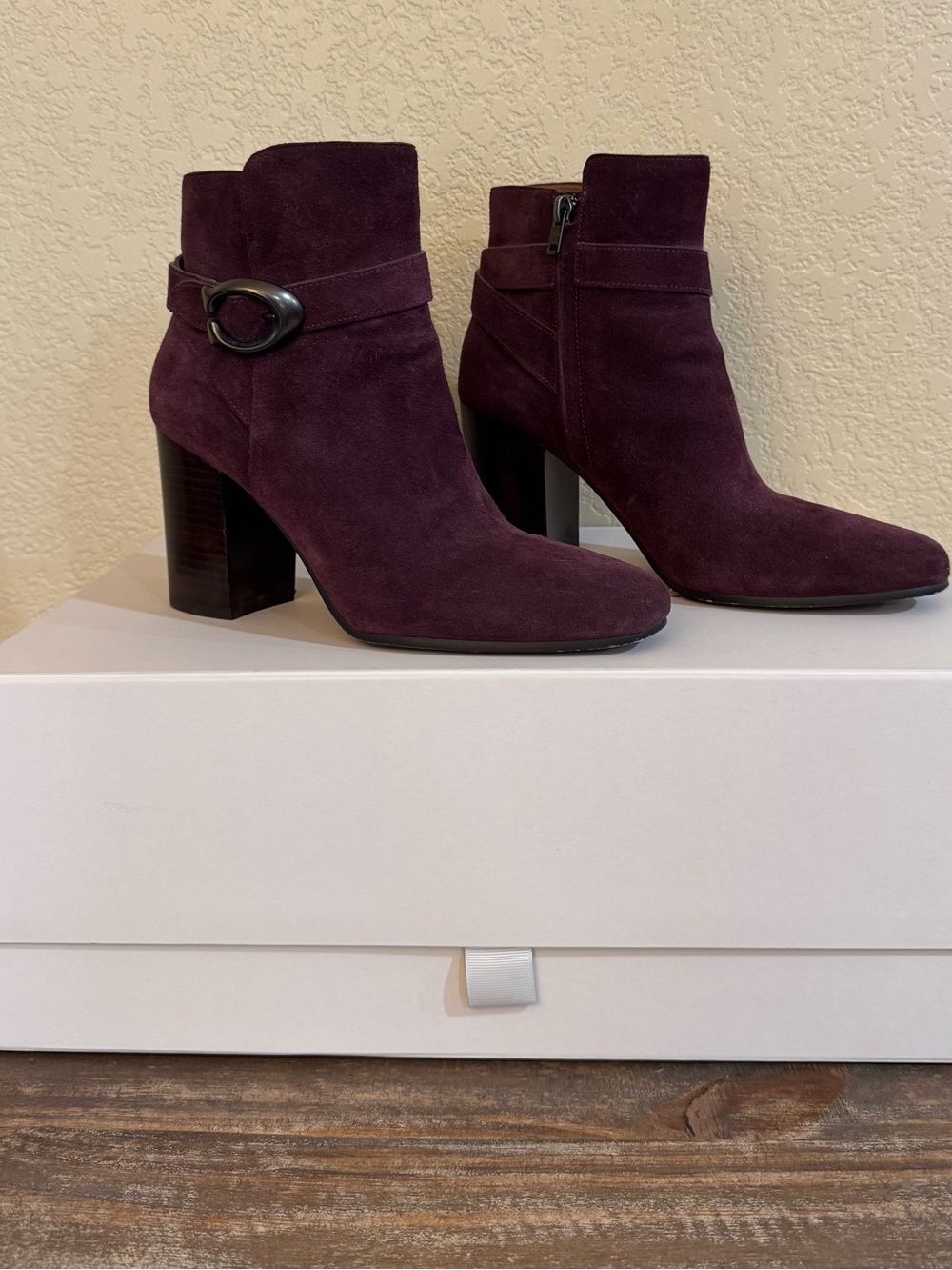 Coach Plum Suede Ankle Booties with Buckle